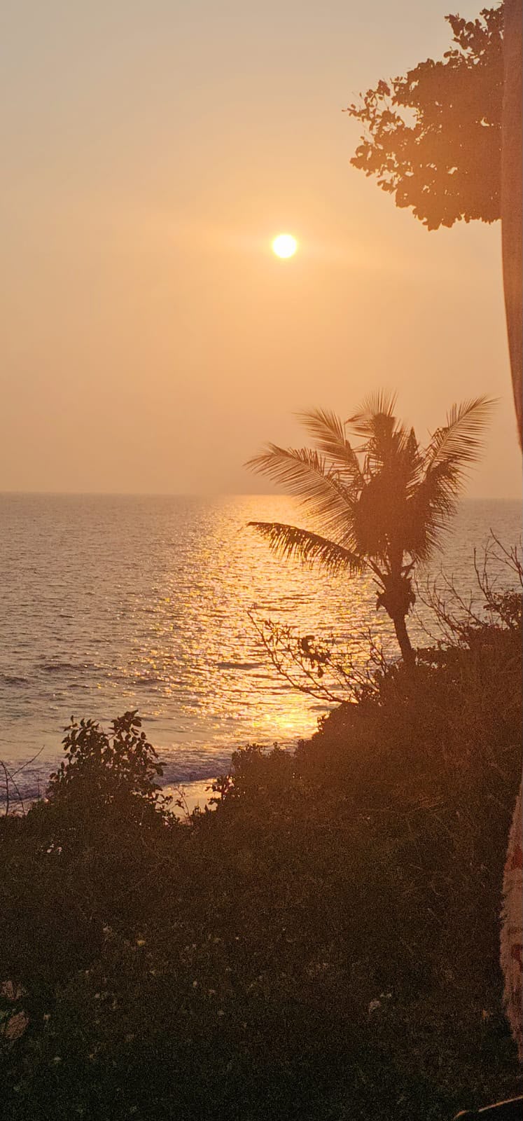 Coucher de soleil entre les palmiers et la mer