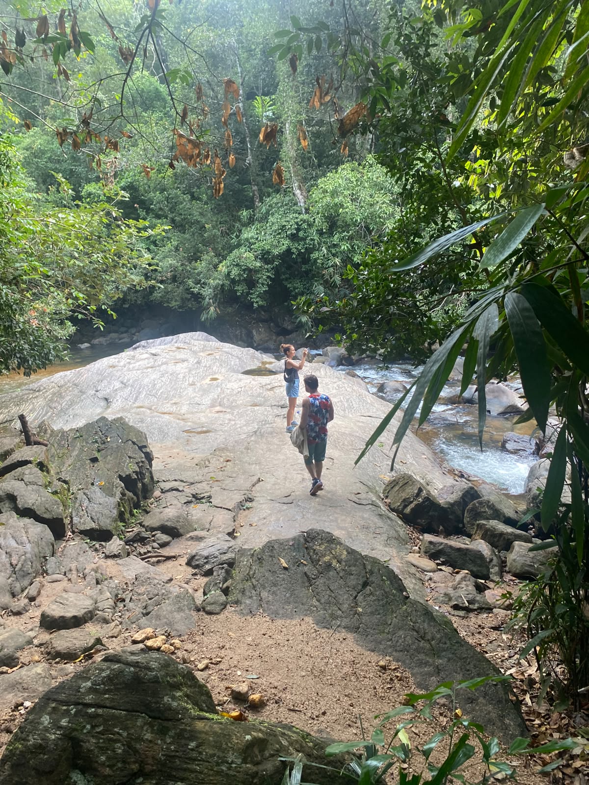 Rochers polis et rivière dans la jungle