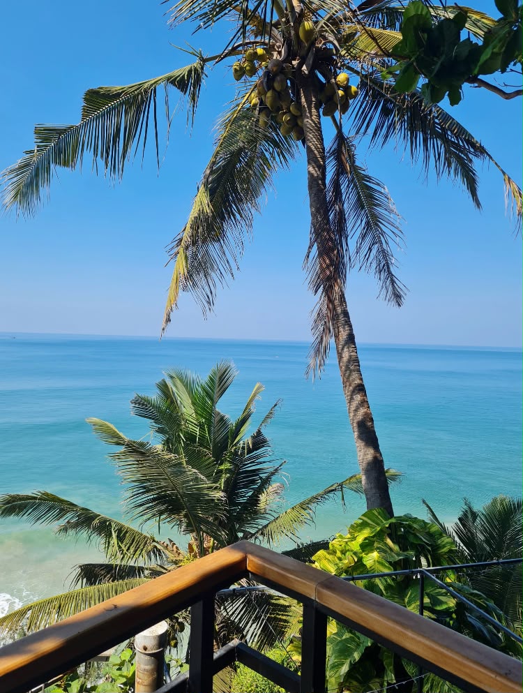 Vue sur la mer depuis la terrasse au Kerala