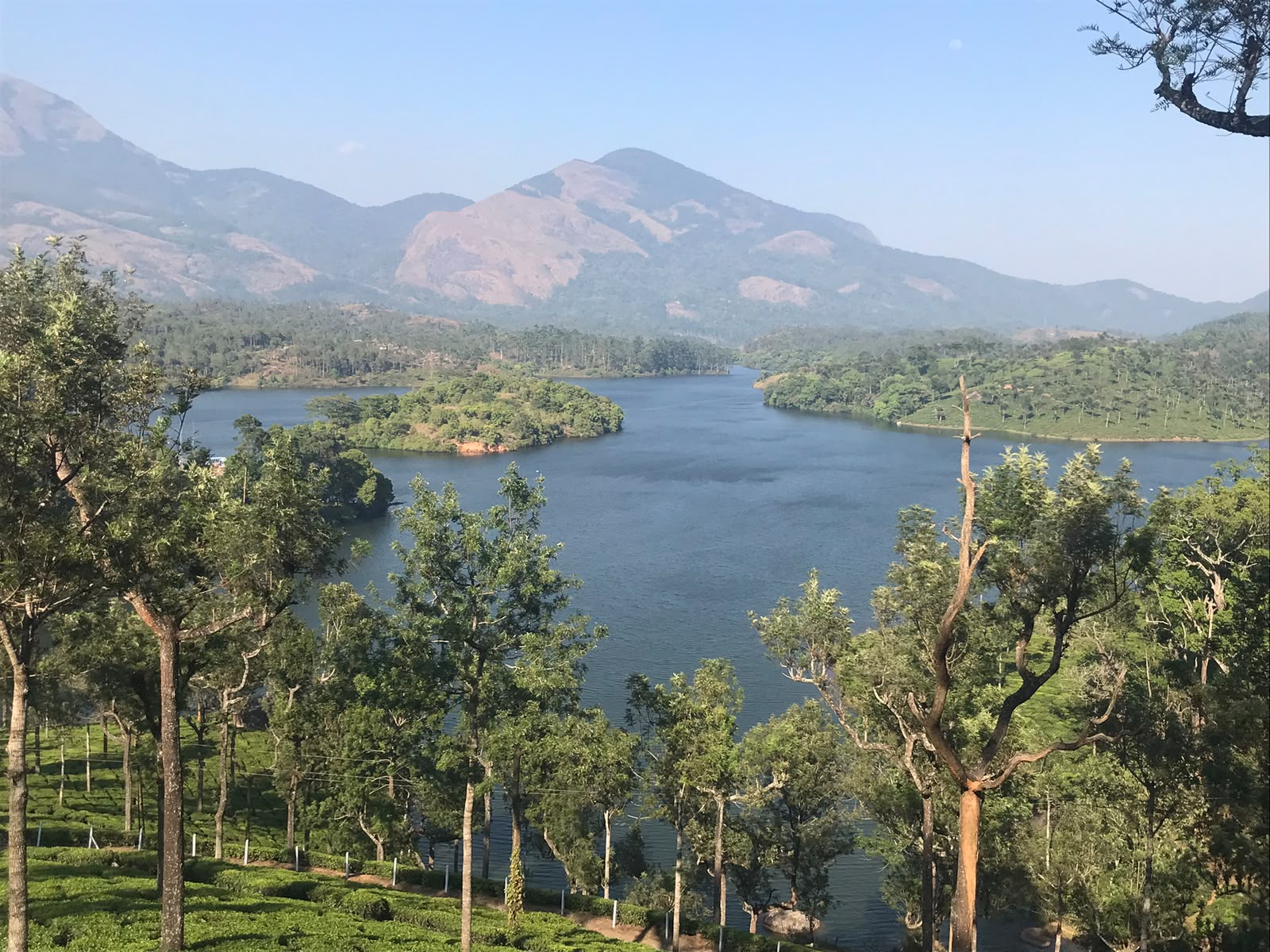 Lac et montagnes près de Munnar
