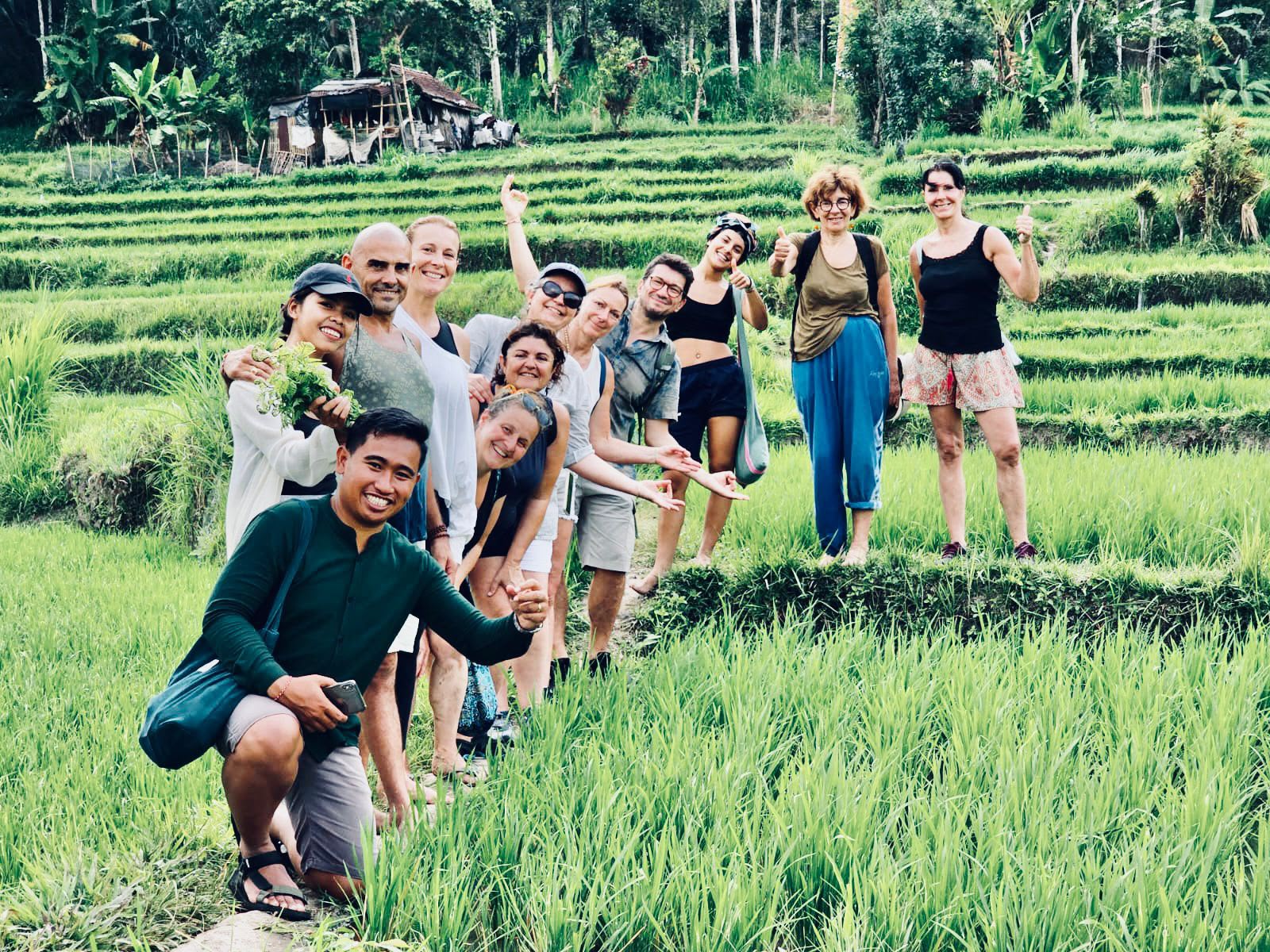 Rizières de Bali