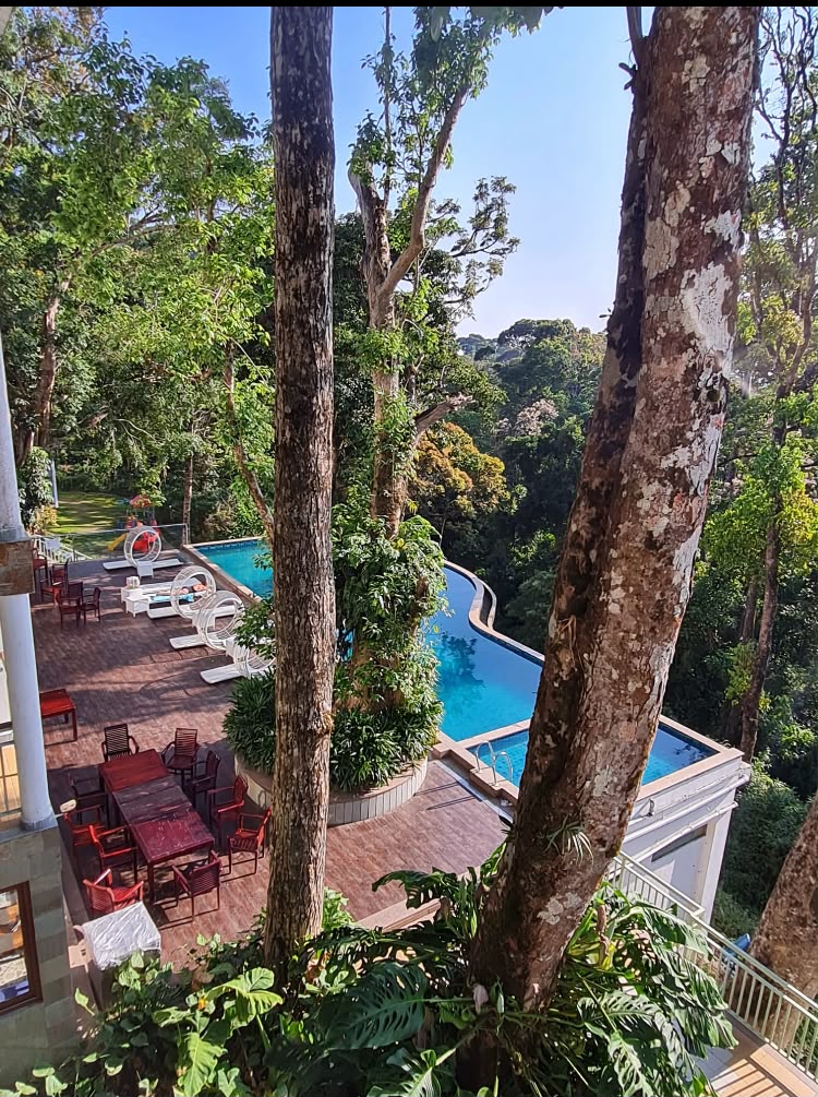 Piscine au cœur de la forêt tropicale
