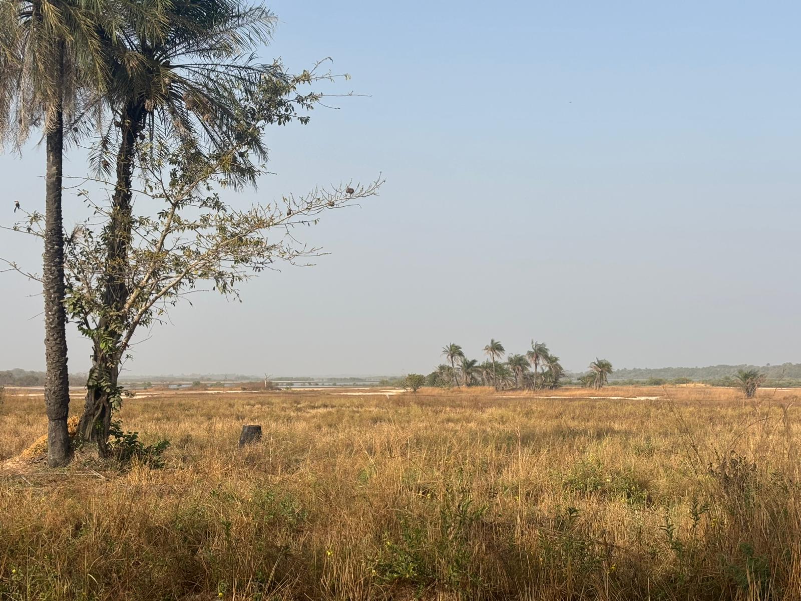 Savane et fleuve Casamance